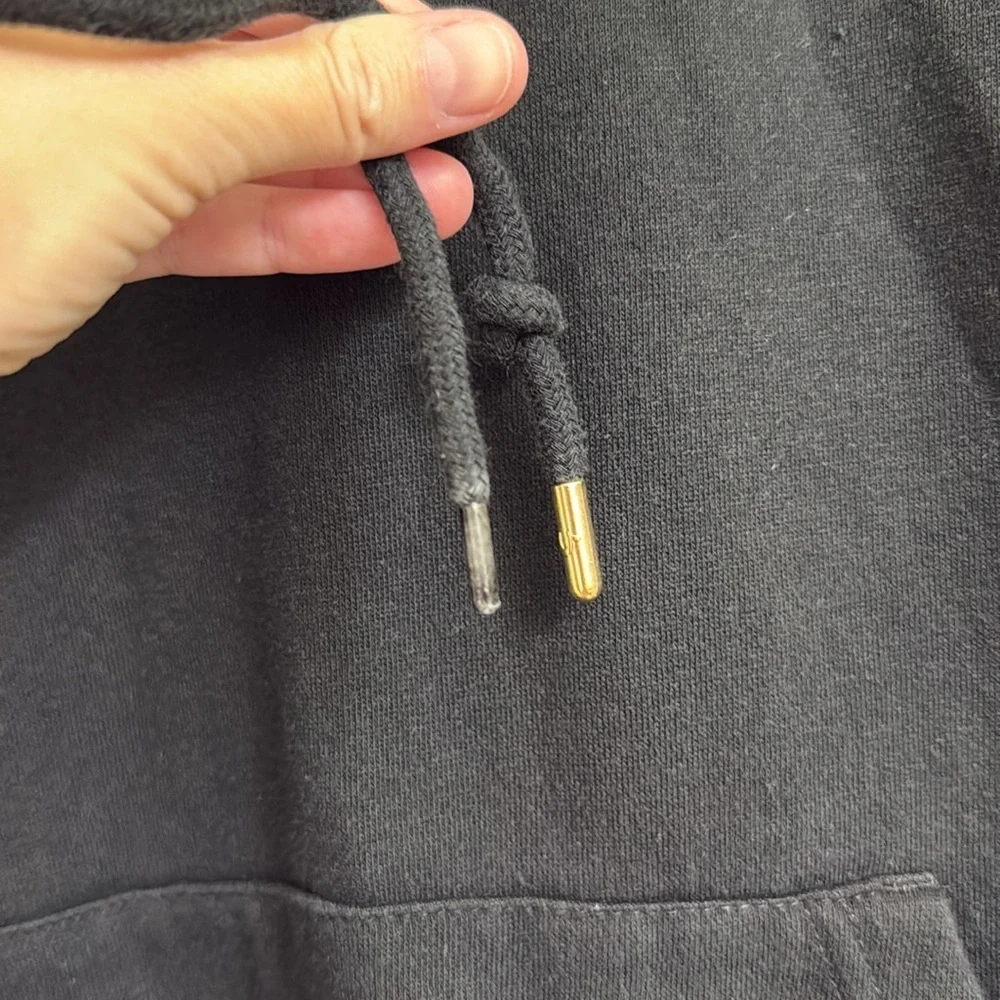 True Religion Shine Arch Hoodie